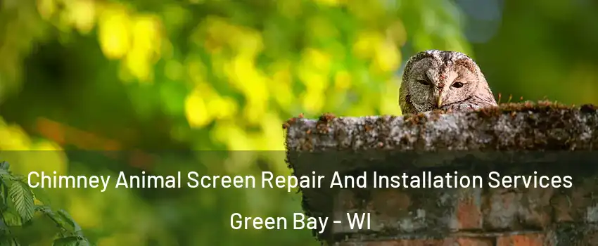  Chimney Animal Screen Repair And Installation Services Green Bay - WI