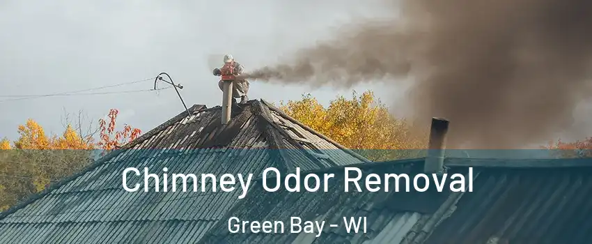  Chimney Odor Removal Green Bay - WI