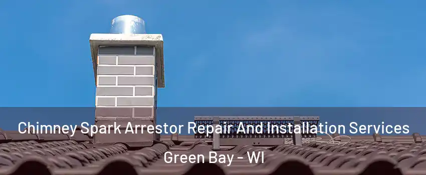  Chimney Spark Arrestor Repair And Installation Services Green Bay - WI