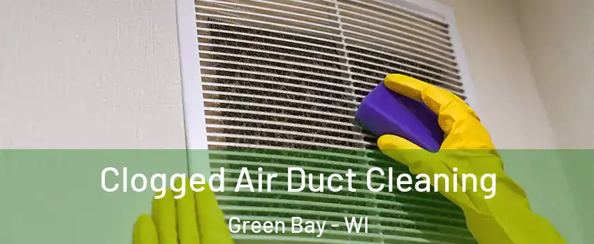  Clogged Air Duct Cleaning Green Bay - WI