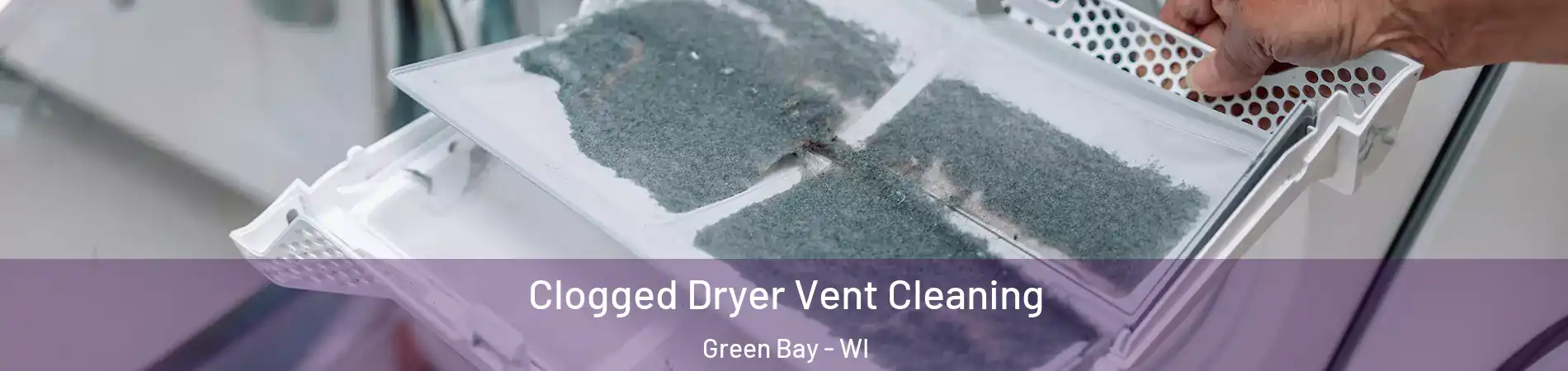  Clogged Dryer Vent Cleaning Green Bay - WI