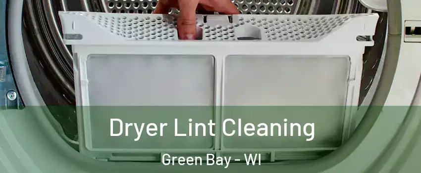  Dryer Lint Cleaning Green Bay - WI