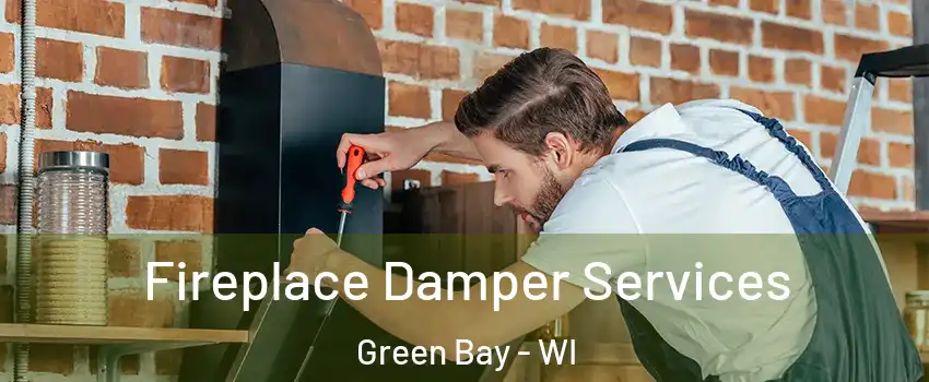  Fireplace Damper Services Green Bay - WI