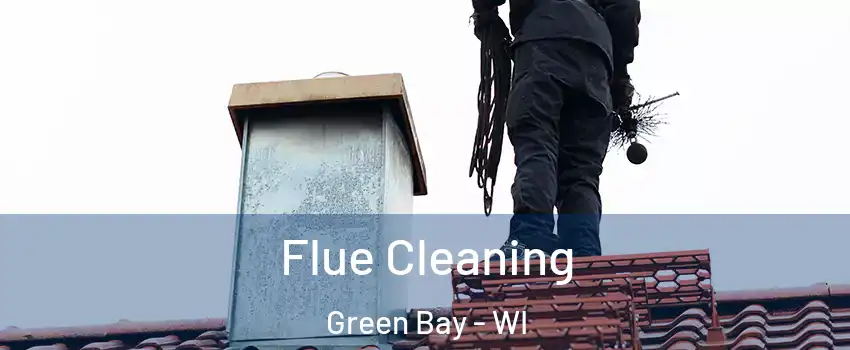  Flue Cleaning Green Bay - WI