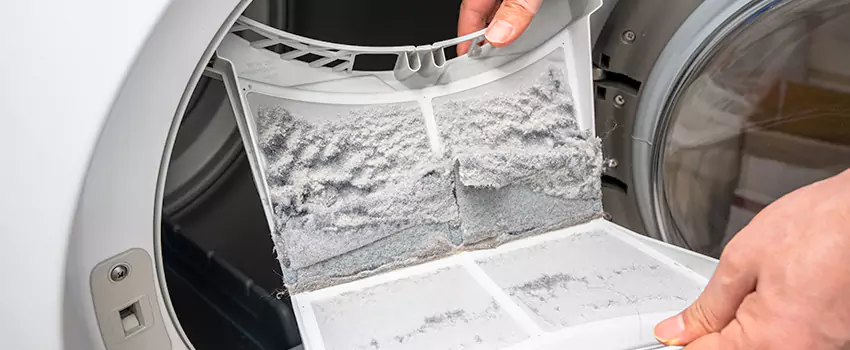 Best Dryer Lint Removal Company in Green Bay, Wisconsin