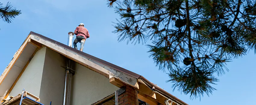 Birds Removal Contractors from Chimney in Green Bay, WI