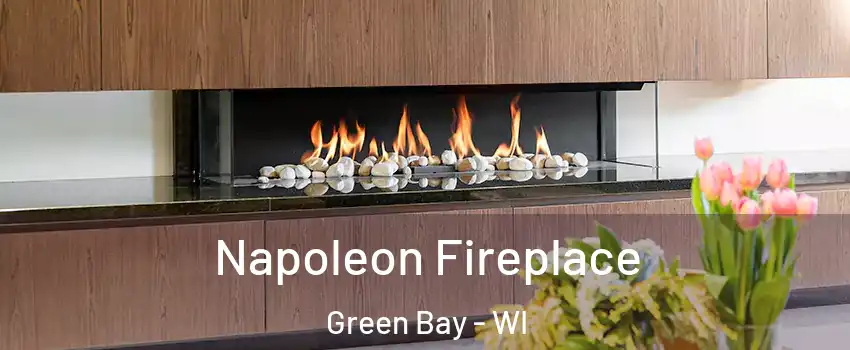  Napoleon Fireplace Green Bay - WI